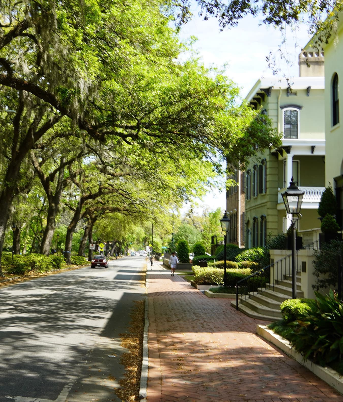Streetscape vert